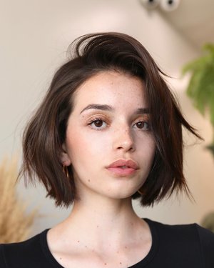 Modern-short-hair.jpg