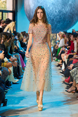 Elie Saab S24 055.jpg