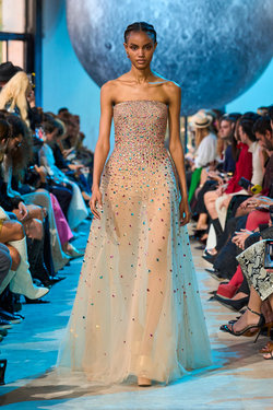 Elie Saab S24 056.jpg