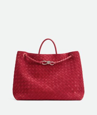 Bottega Veneta Andiamo Bag.jpeg