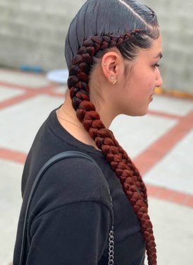 تسريحة Colored and braided pigtails.jpg