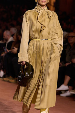 Fendi clp F25 111.jpg