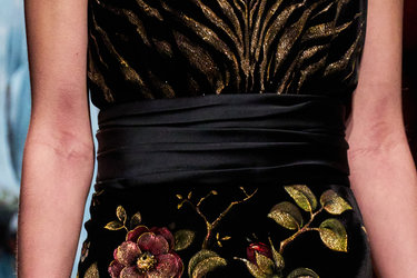Roberto Cavalli clp F25 072.jpg