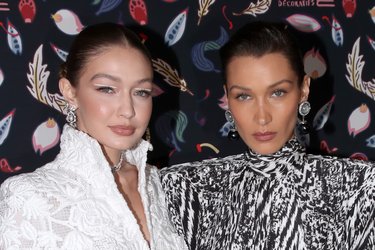 gigi and bella hadid.jpeg