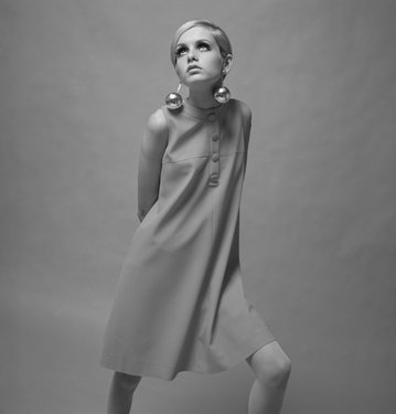 twiggy.jpeg