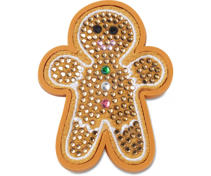 gingerbread cookie.jpeg