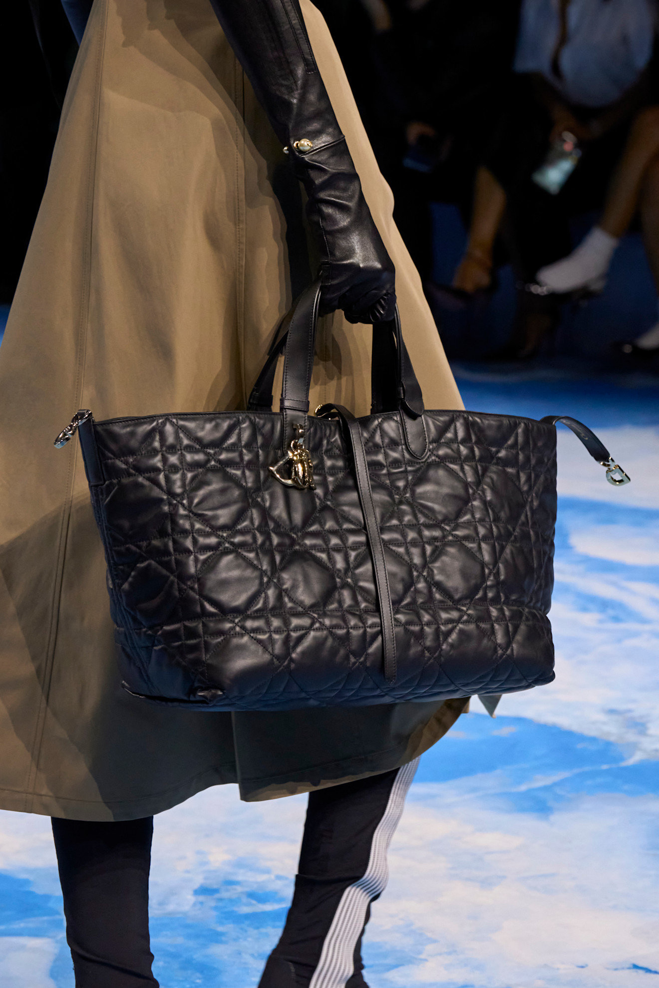 Dior clp S25 075.jpg