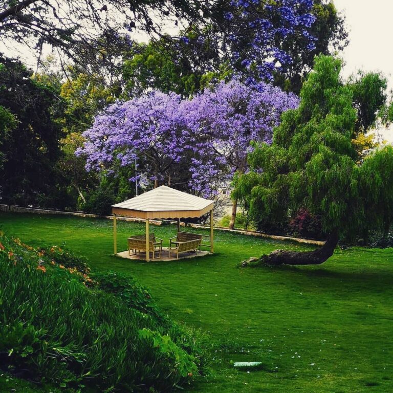 اشهر المنتزهات في ابها... أماكن سياحية حلوة تجذب الزوار!