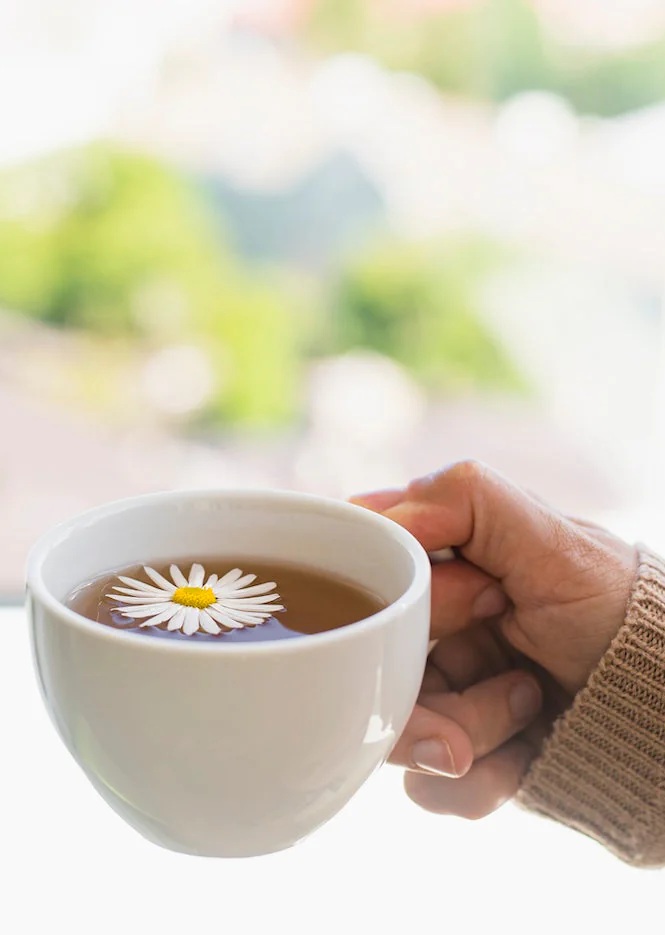 فوائد مذهلة اكتشفتها من تجربتي مع شرب البابونج يوميا!