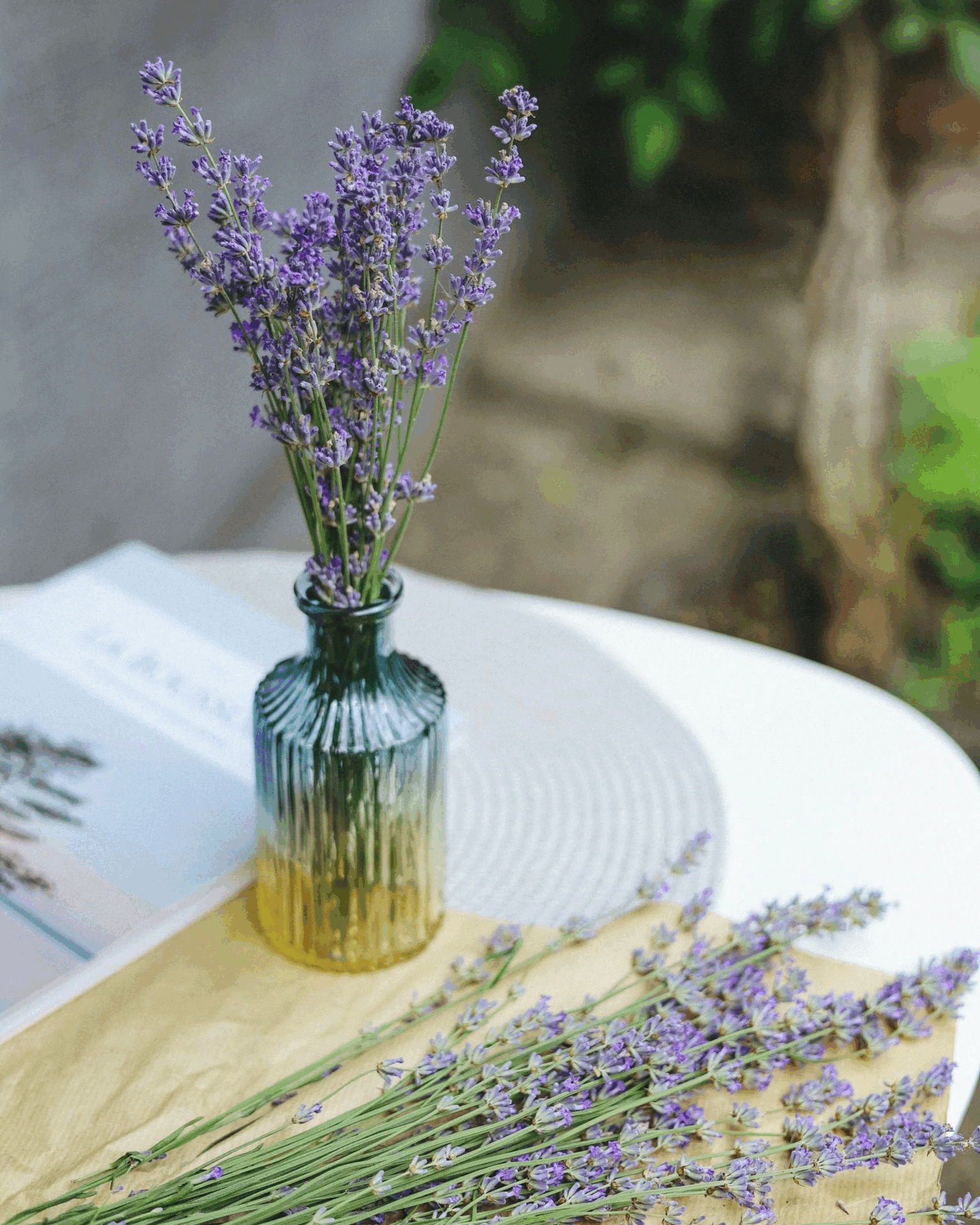 إليك فوائد اللافندر بالتفصيل واستخداماته العلاجية والجمالية والنفسية!