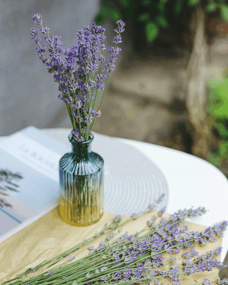 إليك فوائد اللافندر بالتفصيل واستخداماته العلاجية والجمالية والنفسية!