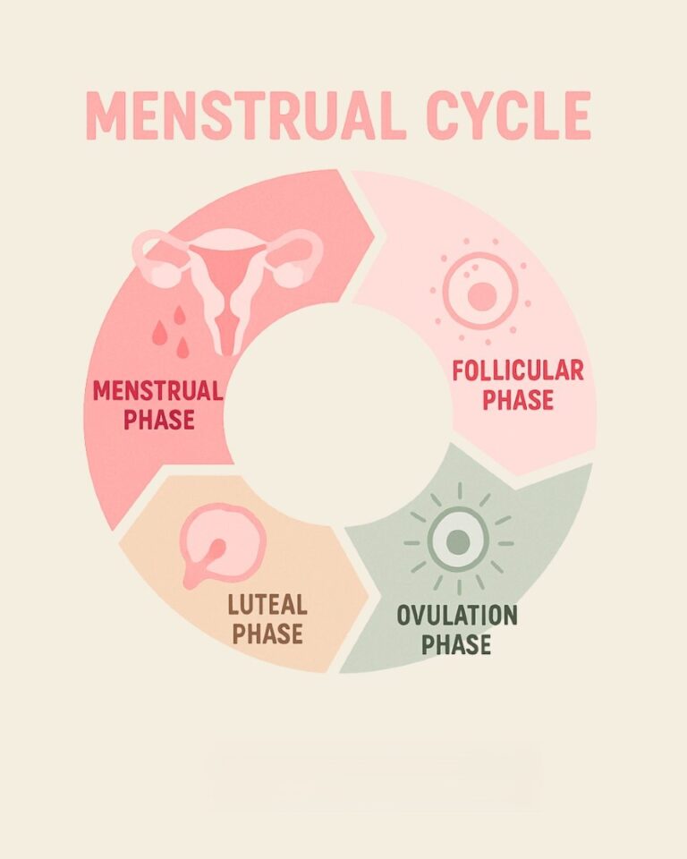 شرح مبسط لمراحل الدورة الشهرية وأعراض كل مرحلة!