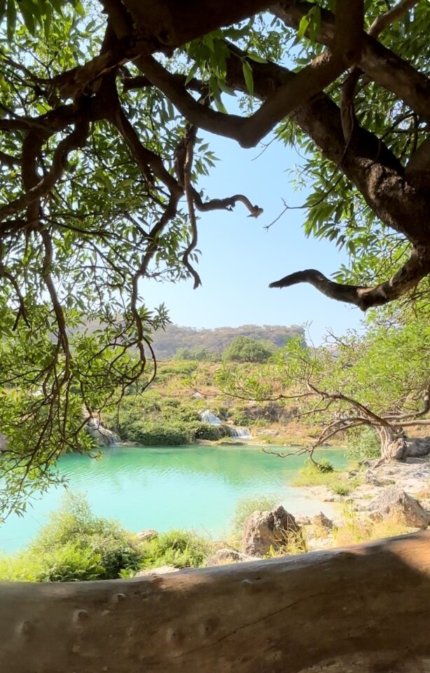 افضل وقت لزيارة صلالة: تعرفي على الموسم الذي تزدهر فيه!