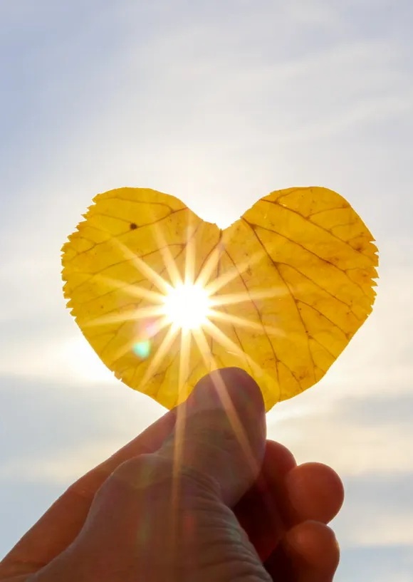 اعلى مراحل الحب... حين تلتقي الأرواح!