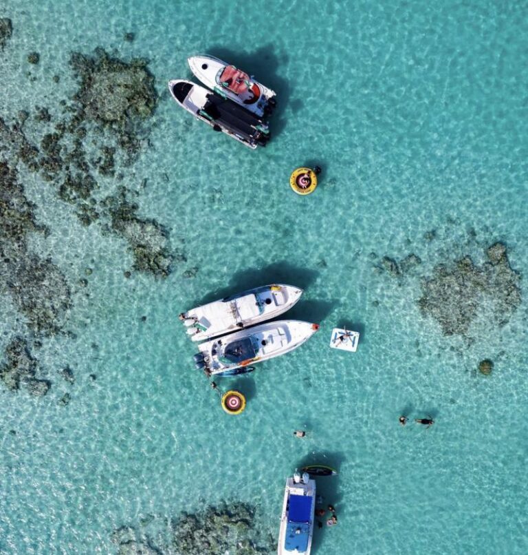 جزيرة بياضه السعوديه: تجربة فريدة في قلب البحر الأحمر