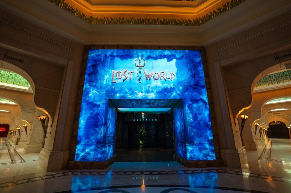 أفكار لتمضية عطلة نهاية أسبوع ساحرة في دبي: بين عالم المحيطات وأجواء الشاطئ