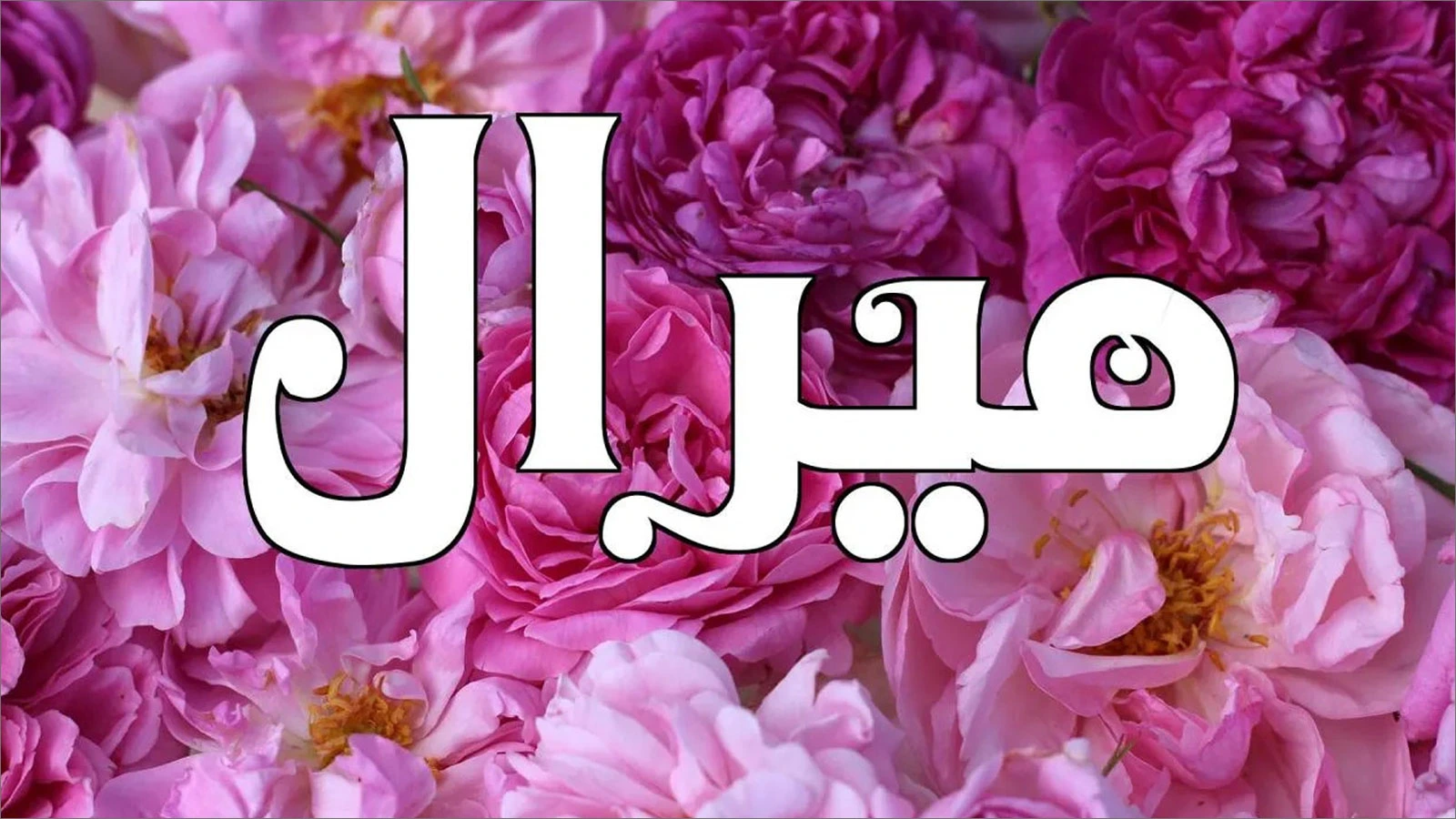 ما معنى اسم ميرال؟