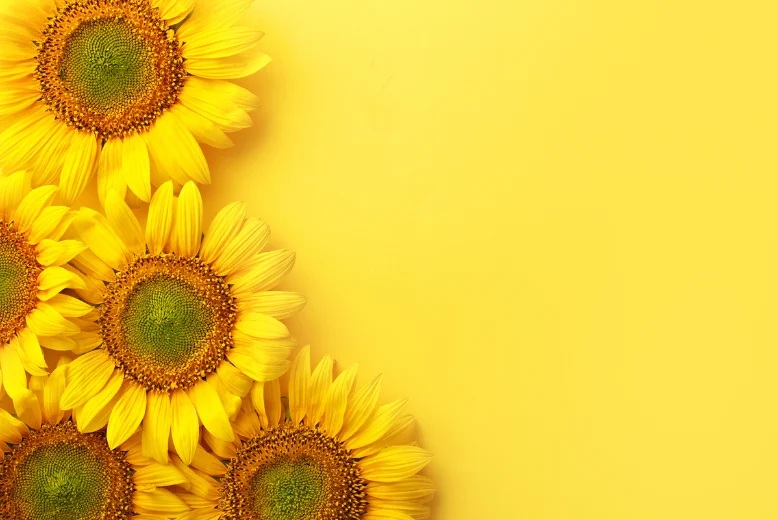 اللون الاصفر في الطبيعة