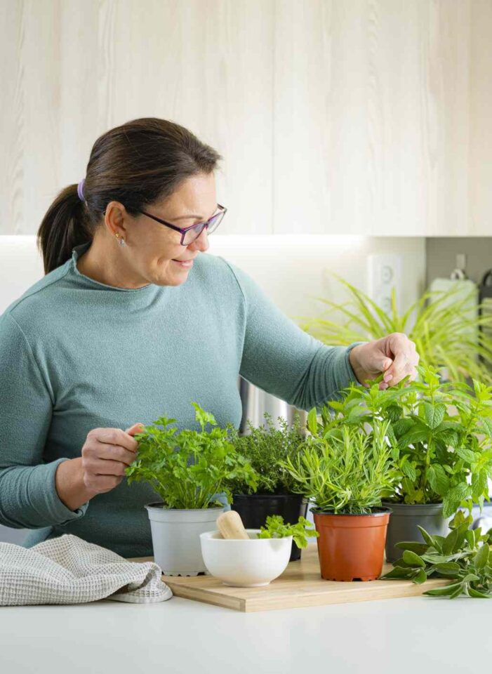 3 اعشاب لانقاص الوزن ودعم الصحة العامة!