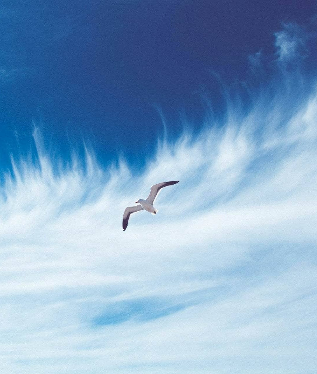 ما هي الابراج الهوائيه؟