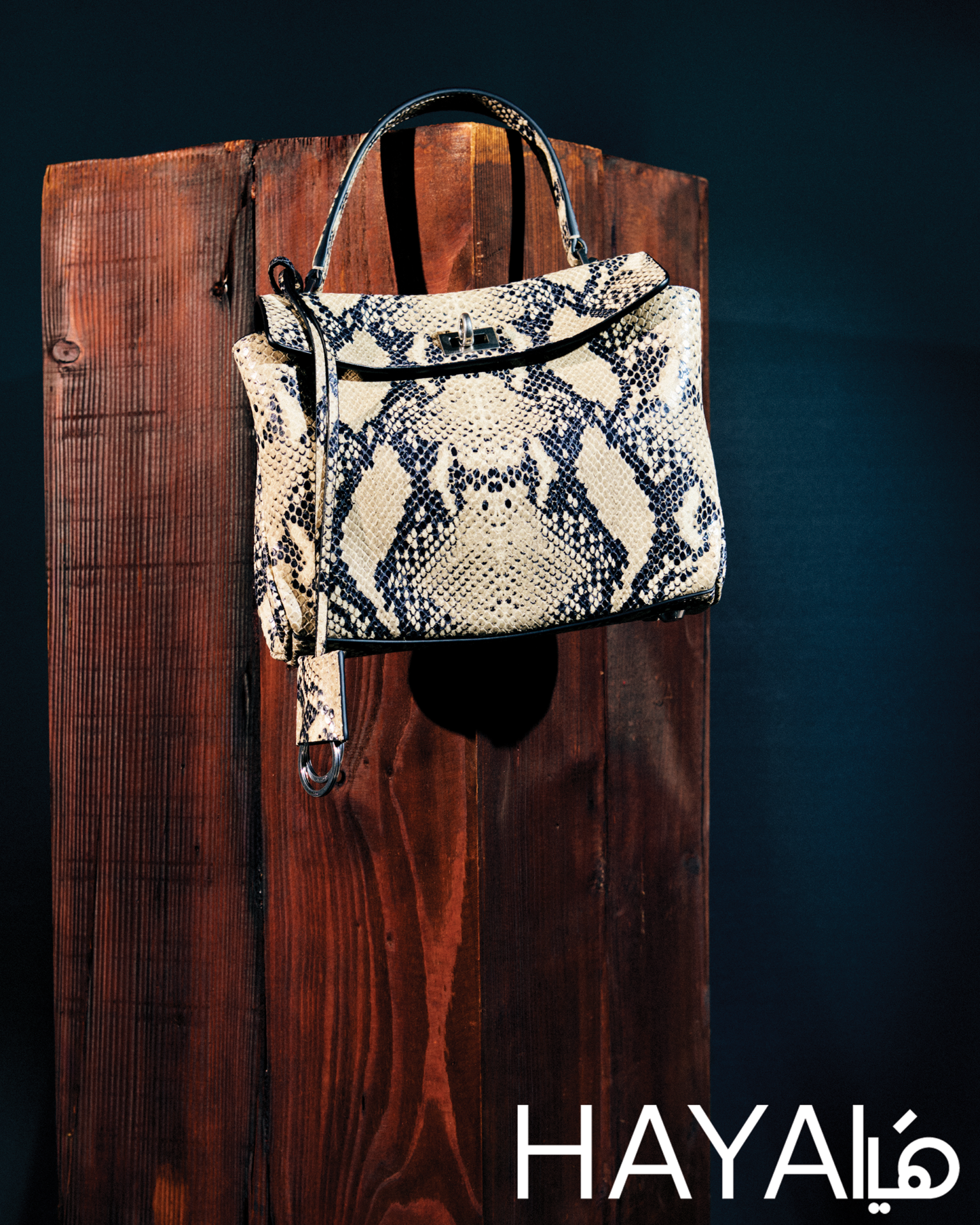 Concrete Icons وحقائب مميزة من Balenciaga