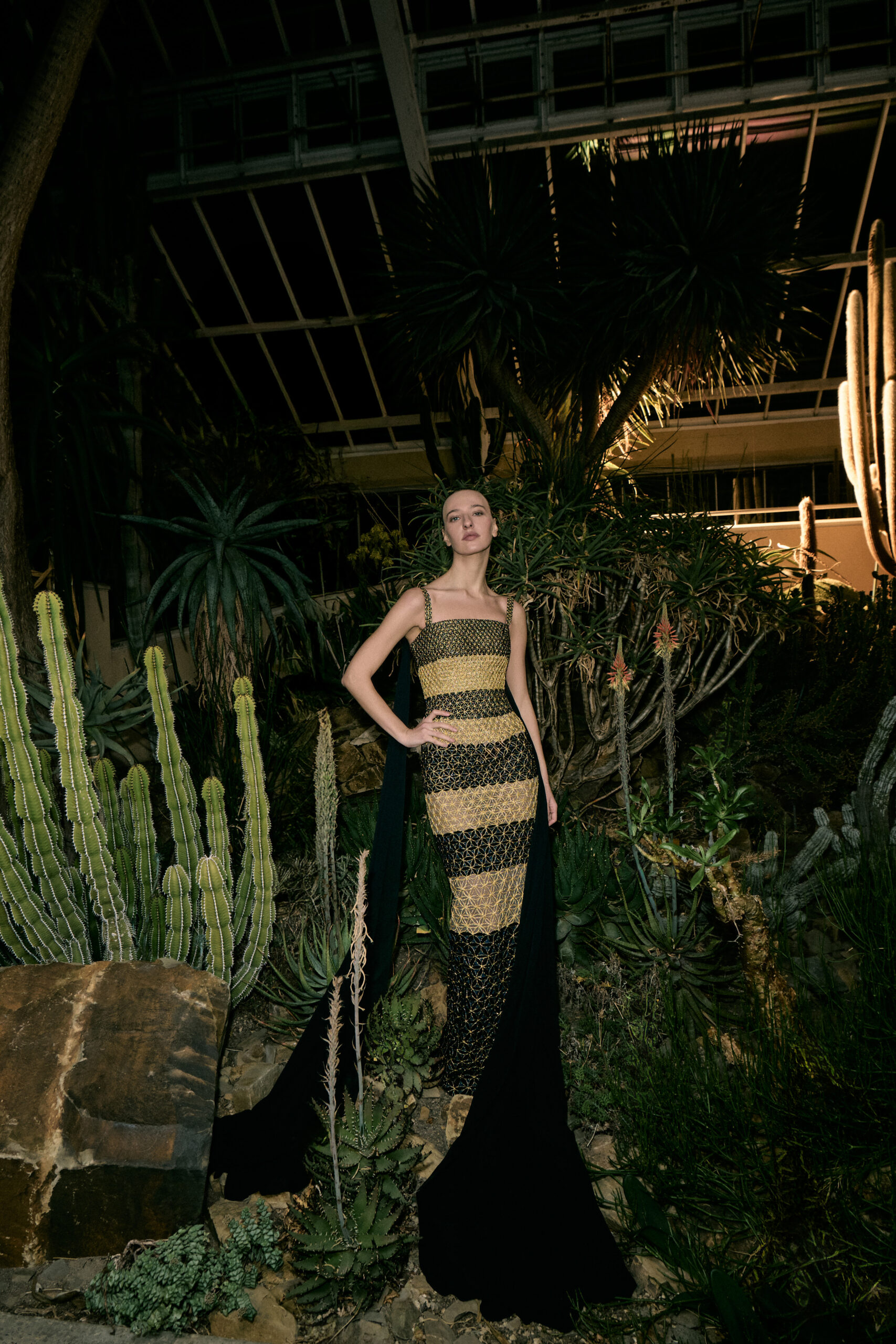 مجموعة رامي قاضي