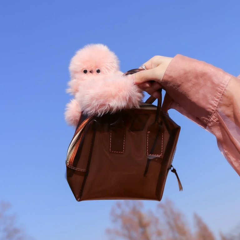 ميرومي ترند جديد بديلًا من لابوبو