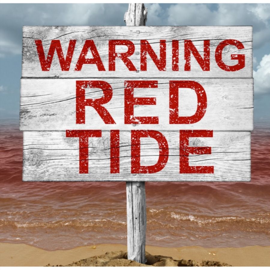 متى نستشير الطبيب؟ 