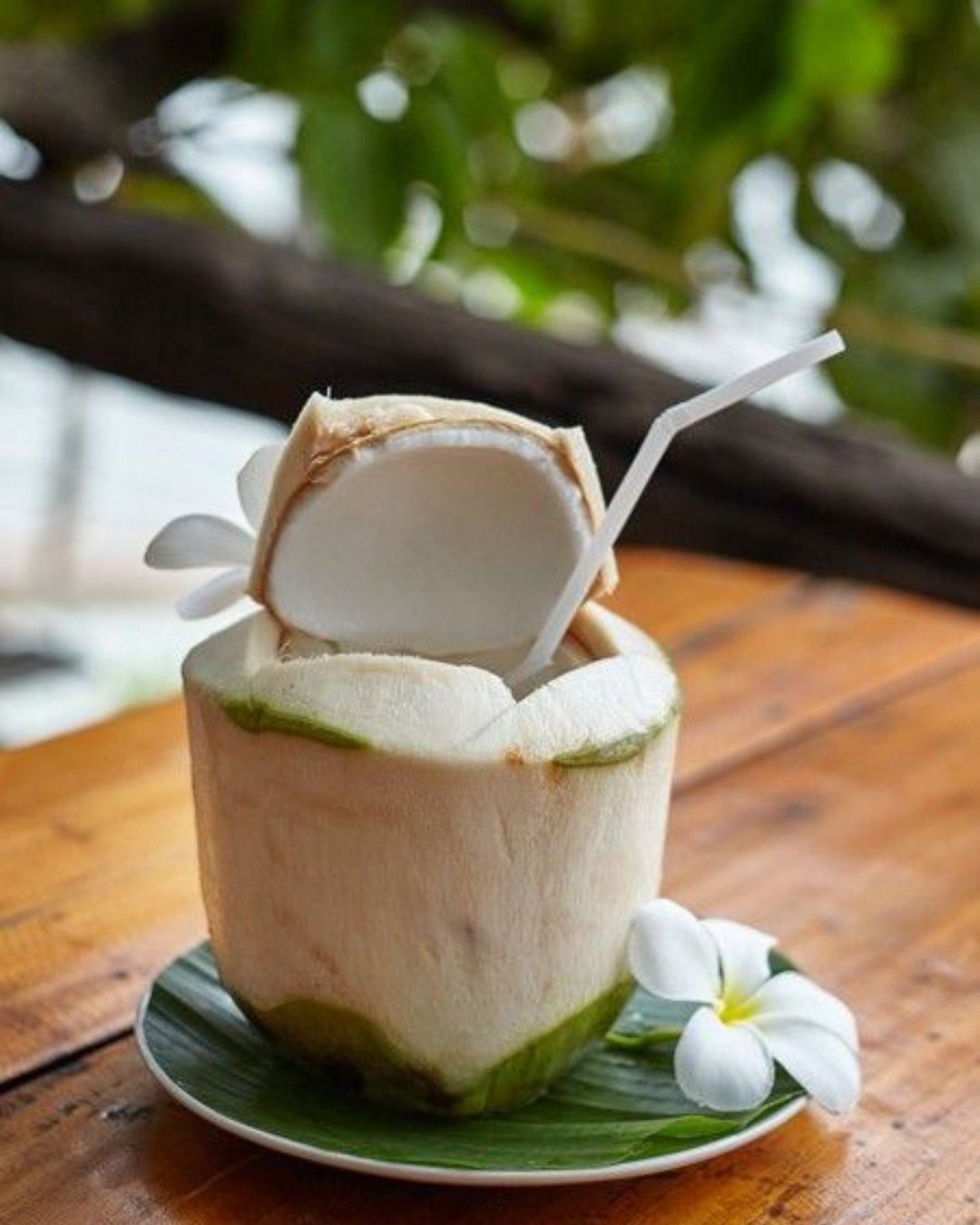 ماء جوز الهند